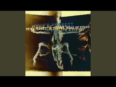 The Shame Of Being You - Peter Perrett