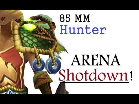 Aquilliah - Level 85 Marksmanship Hunter Twink PvP - MoP Patch 5.1.5