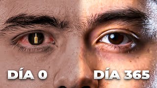 365 Days Without Alcohol: The Best Year of My Life thumbnail