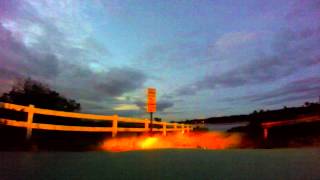 Elvis Costello Allen Toussaint Pomeranian Short