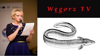 preview picture of video 'Gdzie jest Węgorz czyli wywiad z Barbarą Dawcewicz'