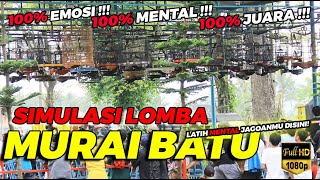 Download lagu VIDEO LATIH MENTAL MURAI JAWARA ❗ | SIMULASI LOMBA MURAI BATU JERNIH FULL TEMBAKAN mp3
