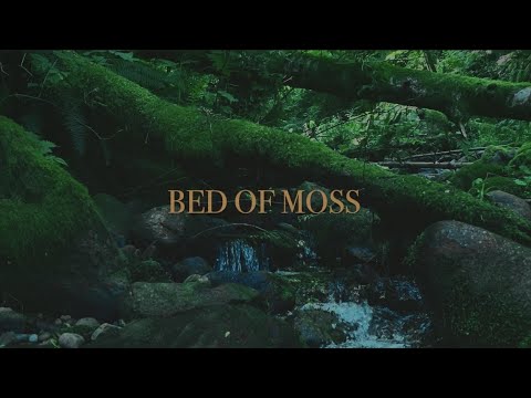 Bed Of Moss - Tagalong
