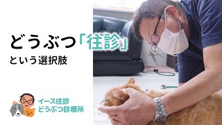 東京都湾岸エリアの往診専門動物病院｜イース往診どうぶつ診療所（公式動画）
