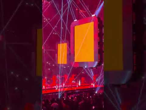Yo perreo sola -bad bunny 🐰(en vivo)