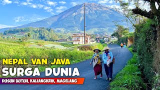 Download lagu SURGA DUNIA !! PEMANDANGAN ALAM DESA NEPAL VAN JAVA DI GUNUNG SUMBING - Cerita Desa Butuh, Magelang mp3