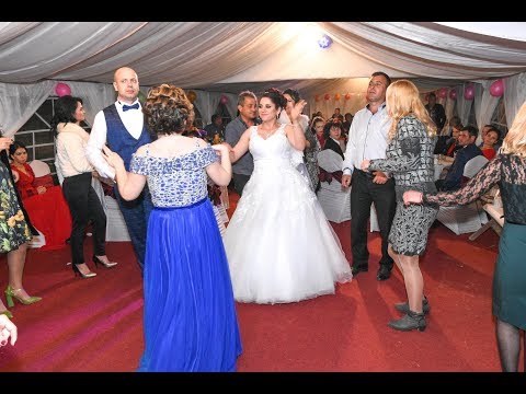 10 SARBE si hore la nunta in cort  -  Live!