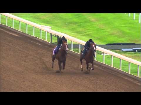 Judy the Beauty works at Keeneland Oct. 26