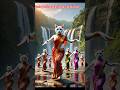 Gulabi Sharara Song Cat Dance Cat Cats Cute Catdance Funny Dance S Song Catvideos Love Shorts Yt