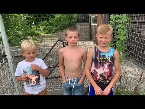 Finter och skott med Sebbe och Frallan