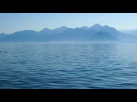 Randi✖Faydee-Body Language