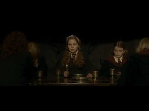 Ron Broke Up With Lavender - Harry Potter And The Half Blood Prince