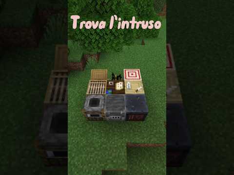 Trova l’intruso su Minecraft⚔️