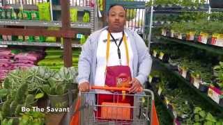 Shopping At Home Depot & Planting Strawberries