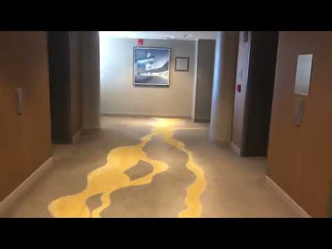 AMAZING Otis (Schindler) Scenic Traction Elevators @ Dallas Hyatt Regency