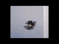 Christina Carter - A Blossom Fell  [Vocal/Experimental, USA, 2008]