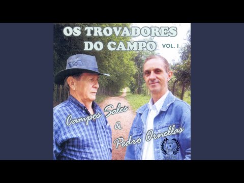 Pedaços video