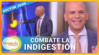 Dr. Juan y sus Santos Remedios contra los problemas estomacales  | Despierta América