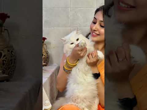 anchal sahu 🐈‍⬛🐈‍⬛... so kiut 🥰💞