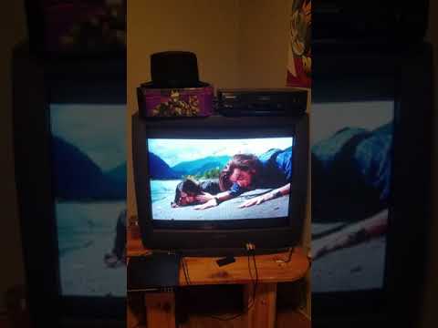 Randy Crenshaw And The Kids Surfin Bird