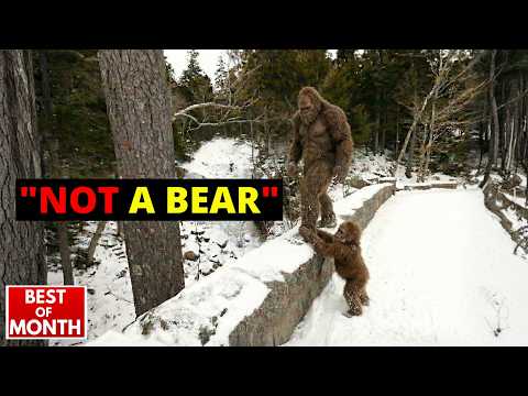 "That was NOT HUMAN"- 100+ SCARIEST Bigfoot Encounters Caught on Camera (2.5 HOUR MEGA-COMPILATION)