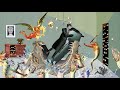 Collage Animation DREAM And DREAMER
