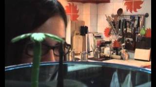 rue madame the video by Kostis Maraveyas