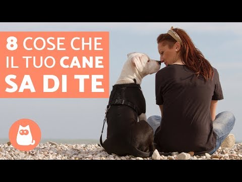 Restauro del video di esercitazioni congiunte Mal di schiena la mattina dopo la gravidanza sonno