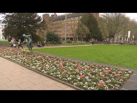 Düsseldorf - kurz r(h)eingeschaut #18 | KW 15