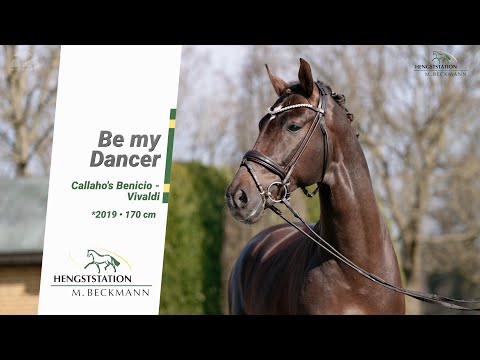 Be my Dancer Hengst von Callahos's Benicio - Vivaldi