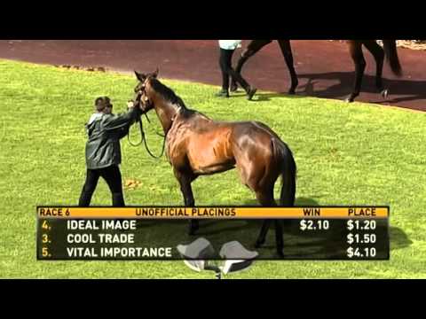 Ascot, 05/13/15, Race 6 - IDEAL IMAGE - Mr Bob Peters & William Pike