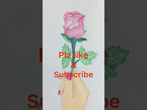 How to draw Ahand holding Rose flower |#rose#art #drawing