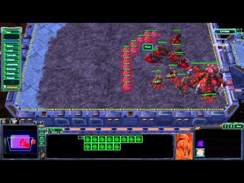 Creep Spread / Infested Terran Key Bind Trick