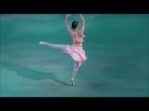 Renata Shakirova: Medora (Le Corsaire)