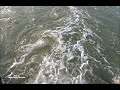 Song Chala Jata Hu Kisi Ke Dhun Mein Whatsapp Status Shourt Enjoying Life