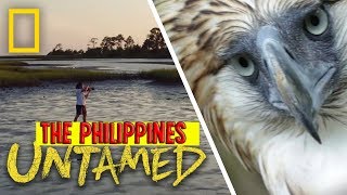 Untamed Philippines |  Wild Paradise
