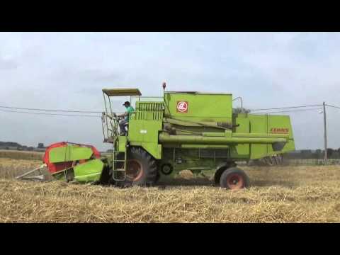 Claas Dominator 85 - Thieulain
