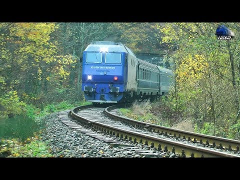 Jimmy 64-1000-0 & Mecanic Super Engineer in Defileul Crișului Repede Canyon - 12 November 2019