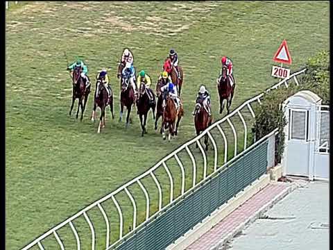 Galoppo 20/01/2020 - 1ª corsa