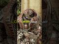 The Theron Sentinels Gears Of War Lore Gearsofwar Gearsofwarreloaded