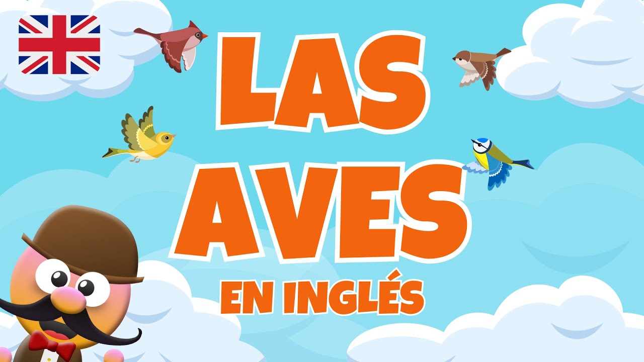 LAS AVES EN INGLÉS - INGLÉS PARA NIÑOS CON MR.PEA - ENGLISH FOR KIDS