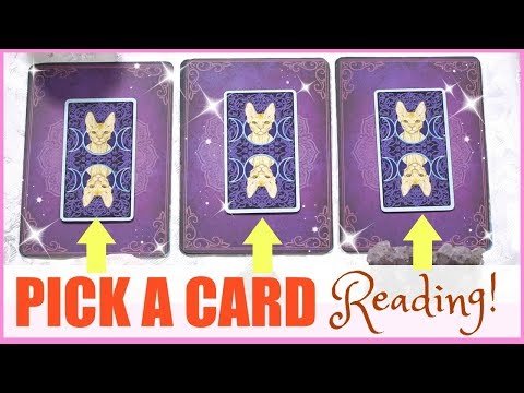 PICK A CARD And Get Clarity On A Situation That You Need To Know About │ Tarot Card Reading! Video