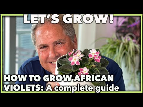 , title : 'AFRICAN VIOLETS THE COMPLETE GUIDE'