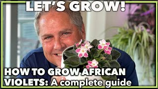 Download lagu AFRICAN VIOLETS THE COMPLETE GUIDE mp3 Download lagu AFRICAN VIOLETS THE COMPLETE GUIDE mp3