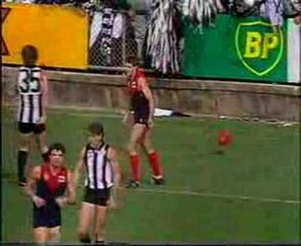 VFL Elimination Final 1989 - Melb v Coll