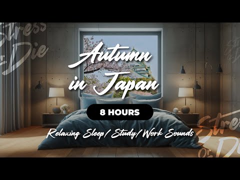 Autumn in Japan - 8 Hours - Relaxing Sleep/Study/Work Sounds