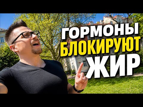ГОРМОНЫ БЛОКИРУЮТ ЖИР — как инсулин, кортизол и щитовидка мешают похудению
