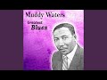 32-20 Blues