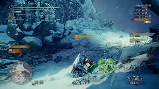 NAOのMHW:IB #18 冷たい場所からこんにちは