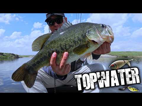 Video Thumbnail for Why Topwater BASS Fishing is the BEST!! (Boundary Dam Reservoir) 